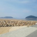 천리포선착장 이미지