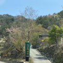 미산애견 이미지