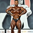 현대보디빌딩 이미지