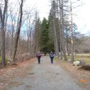 Norvin Green State Forest (04/11/15) 이미지