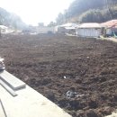 JJ펜션 민박 이미지