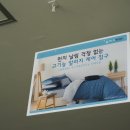 다온홈앤데코