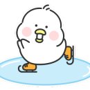 서쪽사계 이미지