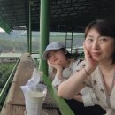 연우팜농장 네이버블로그