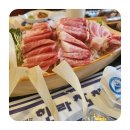 이상참치 이미지