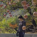 이호리 이미지