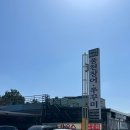 쭈꾸미하우스 | [전북/고창] 제철 쭈꾸미 맛집 &lt;구시포하우스&gt; 쭈꾸미 데침 후기