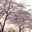 슬기로운맥주생활 이미지