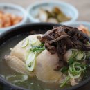 인동T.R