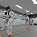 다정태권도 이미지