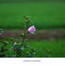 (주)경주산림환경 티스토리