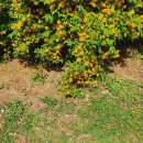 건지공원 이미지