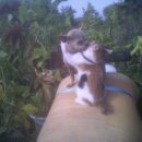 예슬농장 이미지