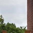 제주토끼 이미지