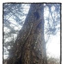 송담3로 이미지