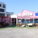 일광정