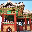 일경 이미지