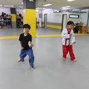 우정태권도장 이미지