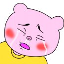 유헤어플래너 이미지