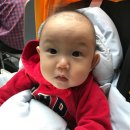 댕이샤워 이미지