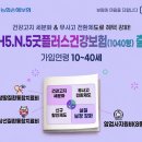 1040 보험매일
