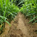 병하 농장 이미지