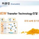 성술 이미지