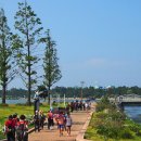 바우길 14구간 이미지