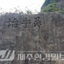 신효동-25 이미지