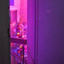 신해화학 이미지