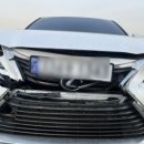 SA모터스 이미지