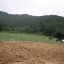 삼태산 농장 이미지