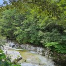 수도산 자연휴양림 이미지