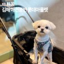 김해 애견동반 데이트 코스 추천, 롯데프리미엄아울렛 김해점 펫모차 푸드코트 정리