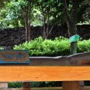 카멜리아힐 이미지