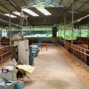 부동축사 이미지