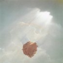 함께 꽃피우는 세상 이미지