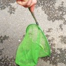 가장맛있는족발 광장점 이미지