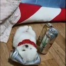 켄홈 이미지