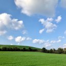 다모리네 이미지