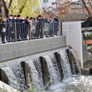 강경젓갈물류센타 - 원주시 | 강경젓갈물류센타