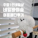 네일바이솔 - 고양시 일산서구 강선로 67 | 주엽 1인네일샵 추천 페디맛집 네일바이솔 후기