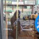 성심당 멜론한통 임산부 프리패스 후기