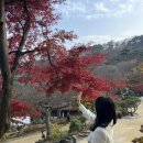 전등사 | 전등사 단풍 실시간 후기, 주차장 꿀팁, 강화도 가볼만한곳