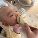 병점3로 1L(기점->3) | 간편한 세척으로 세균 걱정 없는 라비킷 분유포트 내돈내산 추천