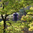 안중한의원 이미지