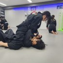 처음 시작하는 초보자가 가장 선호하는 원당 주짓수 삼송주짓수