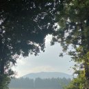 공천포 포구 이미지