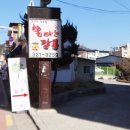 국수나무 양지점 네이버블로그