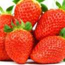 봄나들이 도시락 만들기 이미지